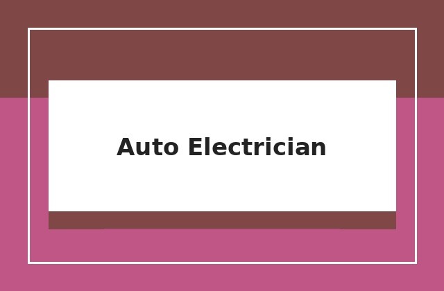 Auto Electrician